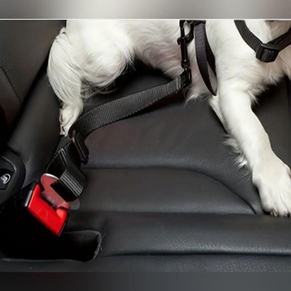 DOGS SEAT BELT ADAPTER. HOOKS TO HARNESS OR COLLAR. ADJUSTABLE. - Picture 4 of 6